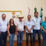 ENERGIA INTELIGENTE